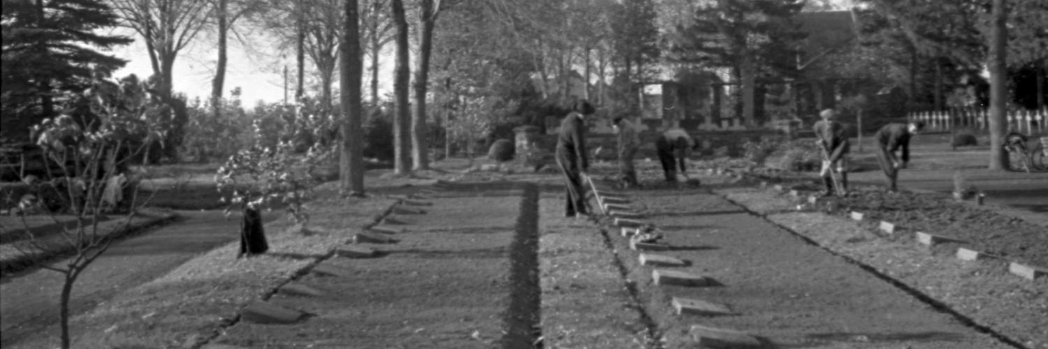 Ehrenfriedhof V196-029