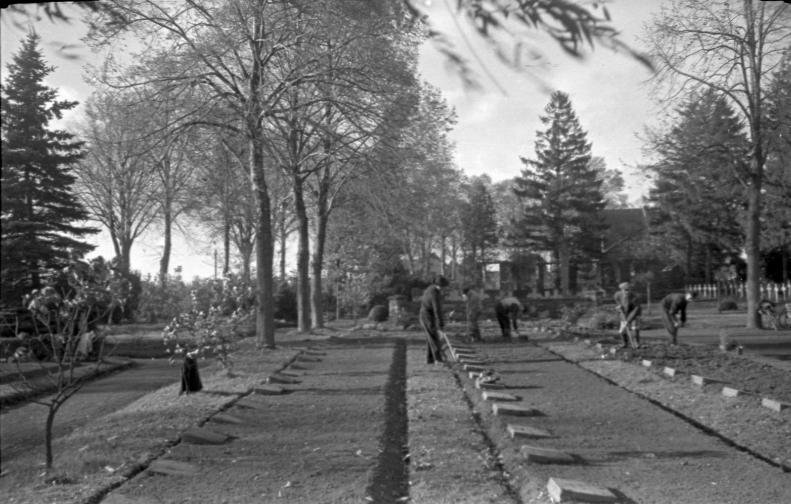 Ehrenfriedhof V196-029