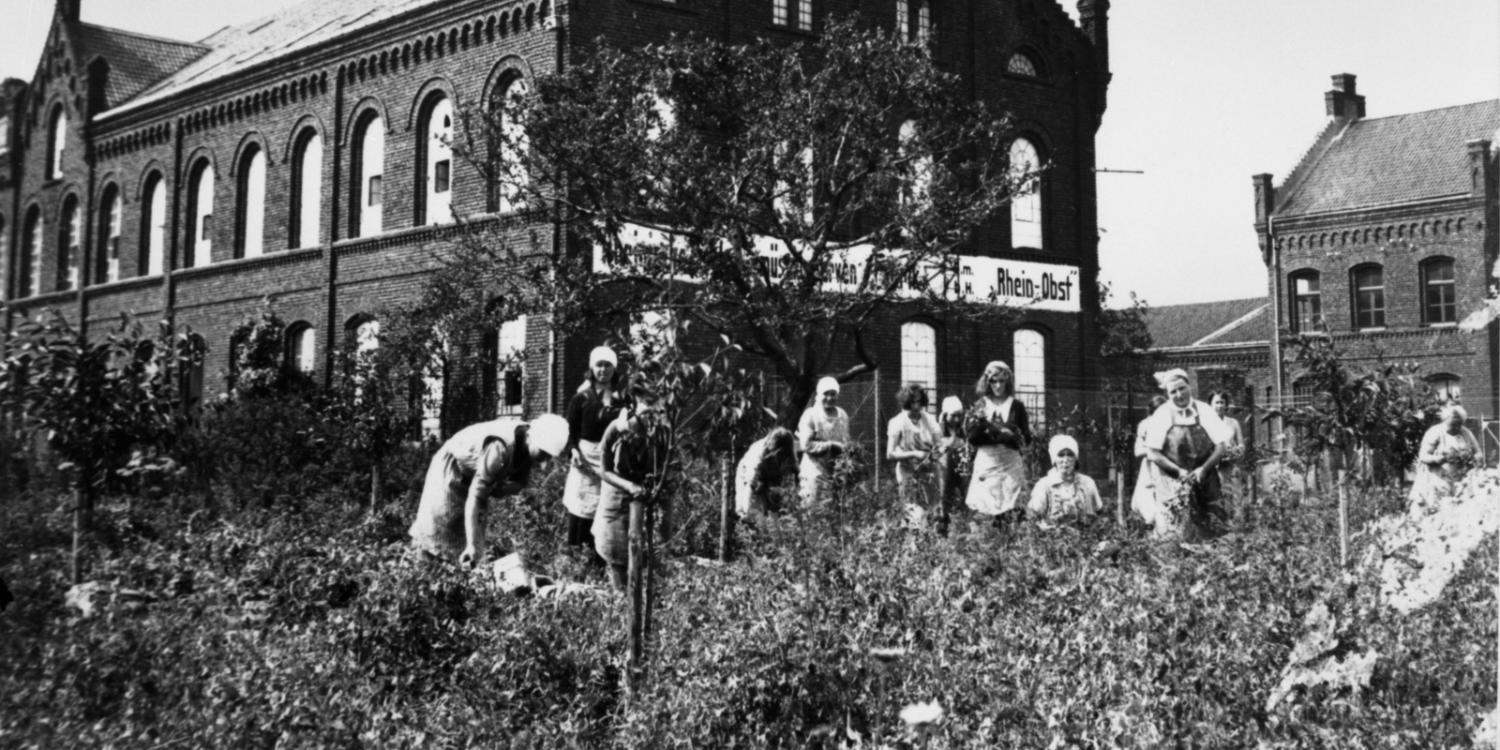 Zwangsarbeiterinnen Ukraine FN-R010-01