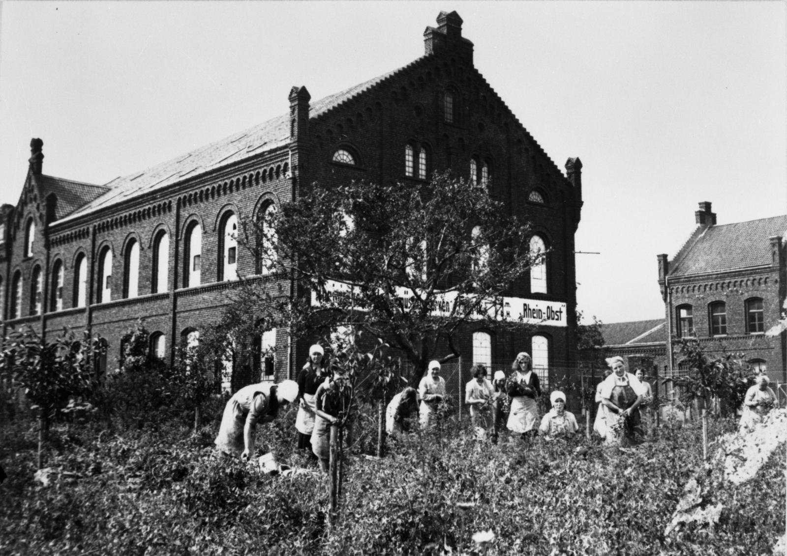 Zwangsarbeiterinnen Ukraine FN-R010-01